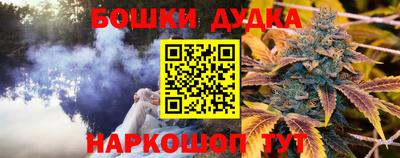 мдпв Мариинск