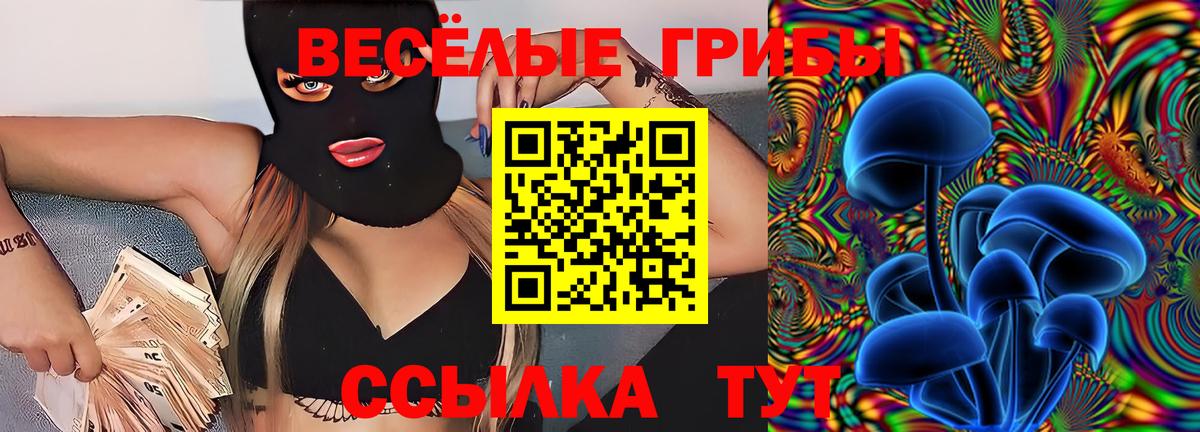 как найти закладки  Вход с VPN  Чусовой  Псилоцибиновые грибы GOLDEN TEACHER 