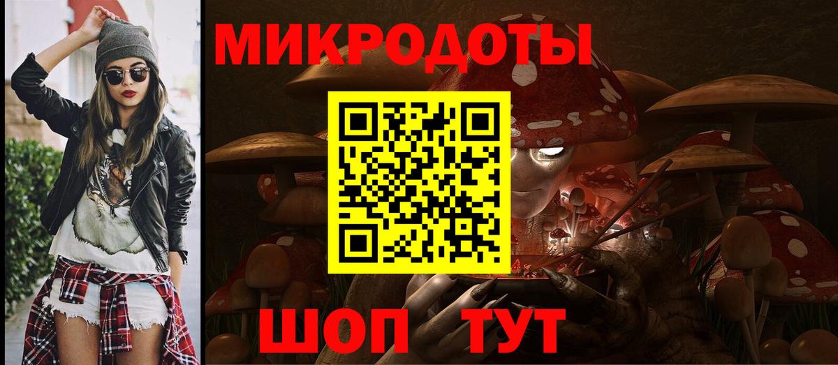 Псилоцибиновые грибы Psilocybe Чусовой